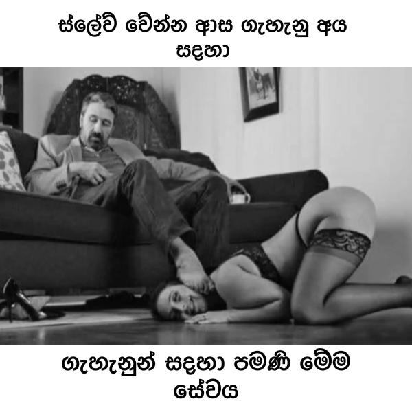 lanka-ad photo of Lanka Ads