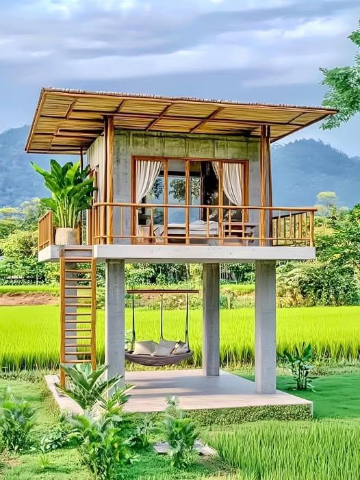 boys-personal photo of Lanka Ads