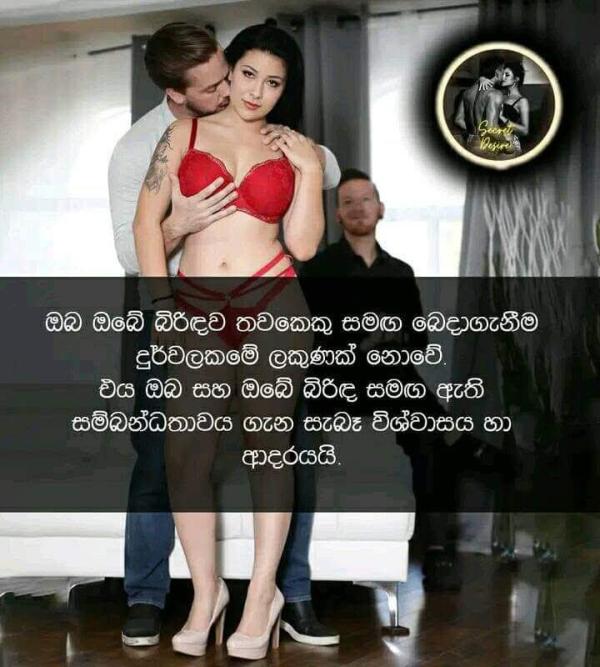 lanka-ad photo of Lanka Ads