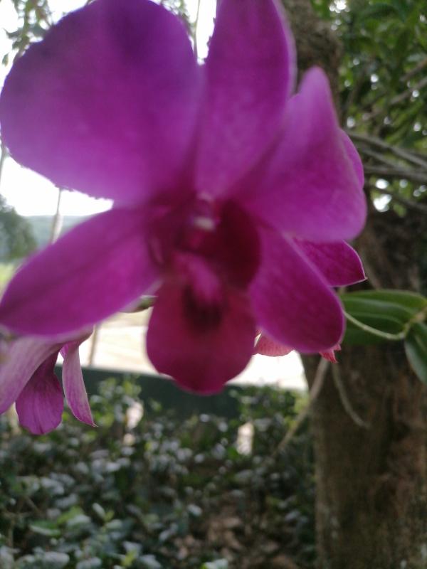 boys-personal photo of Lanka Ads