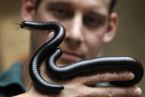 boys-personal photo of Lanka Ads