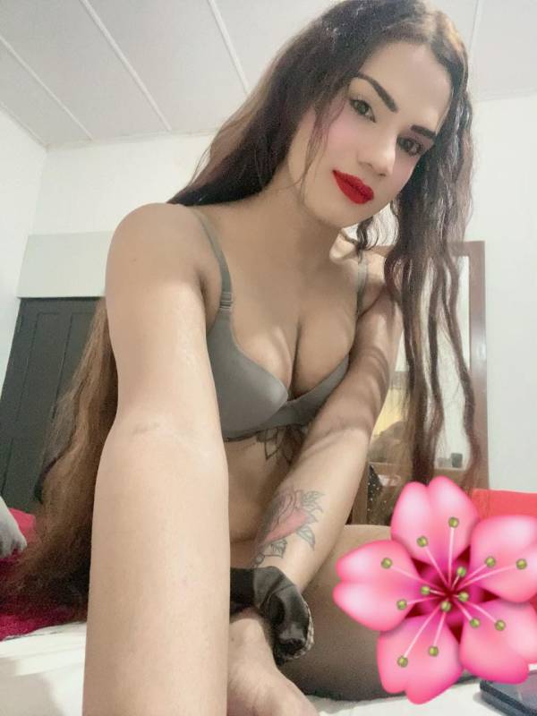 live-cam photo of Lanka Ads